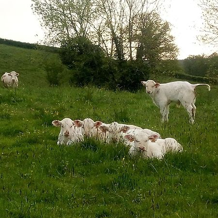 Gite A La Ferme Le Rousset Luaran gambar