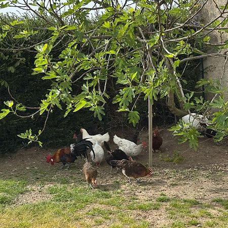 Gite A La Ferme Le Rousset Luaran gambar